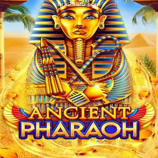 Discover the Enigmas of 